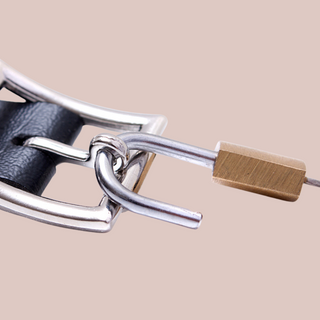 A close up of the lockable buckle and the padlock.