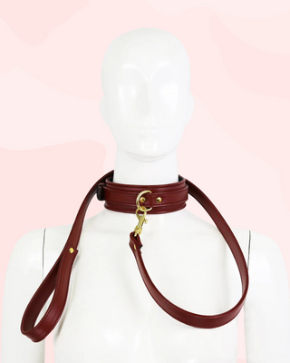 The collar and lead in brown, you can see the gold accented O-ring and snap hook on a model form.