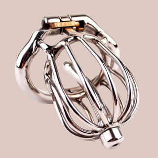 The Coop Metal Chastity Cage from House Of Chastity, shown here fully assembled with the cage, urethral tube and base ring locked in place.