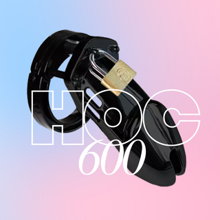 HOC600 Assembly Instructions