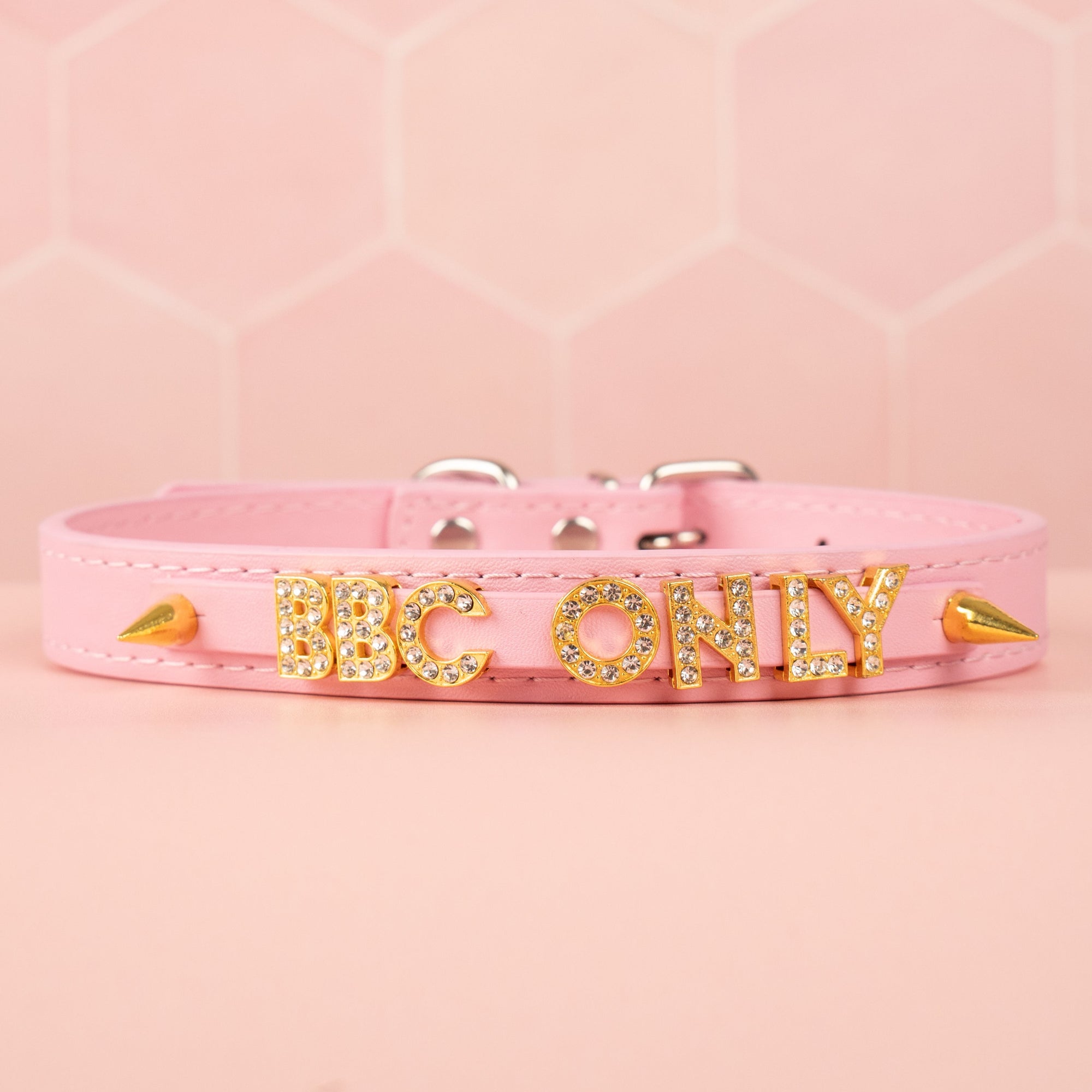 A straight on view of the BBC ONLY narrow collar with decorative gold studs.