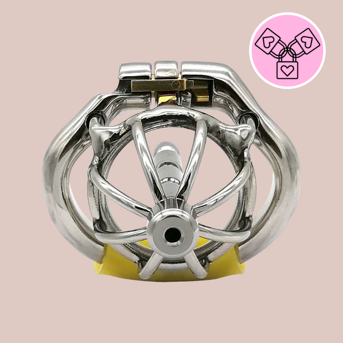 The Bird Cage, Male Steel Chastity Cage