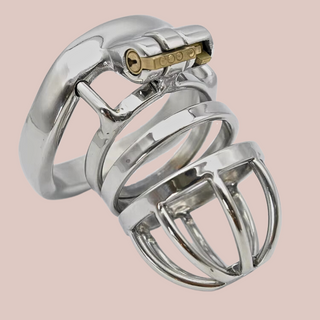 A stainless steel, size small chastity cage. It comes with a full submission fountain bar head design, then 2 circular rings that are fixed to the base ring. It has an integrated lock.