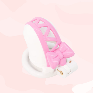 An alternate view of the chastity cage, this angle provides a clear view of the bow.