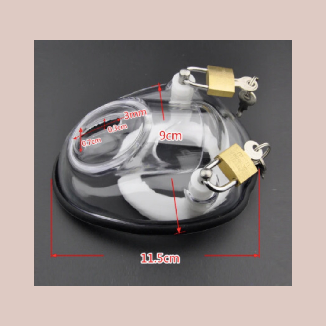 This image shows the dimensions of the chasitty cage.