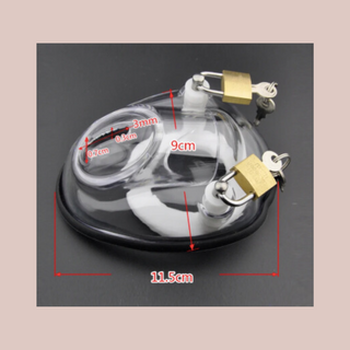 This image shows the dimensions of the chasitty cage.
