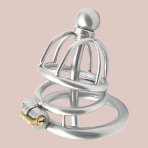 A small sized metal chastity cage with a chaste bird head, one spacer ring that fits to the base ring and allows the integral lock to be fixed. This can has a removal metal urethral tube.