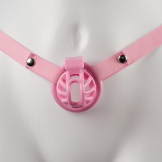 Another close up view of the chastity belt on a chastity cage