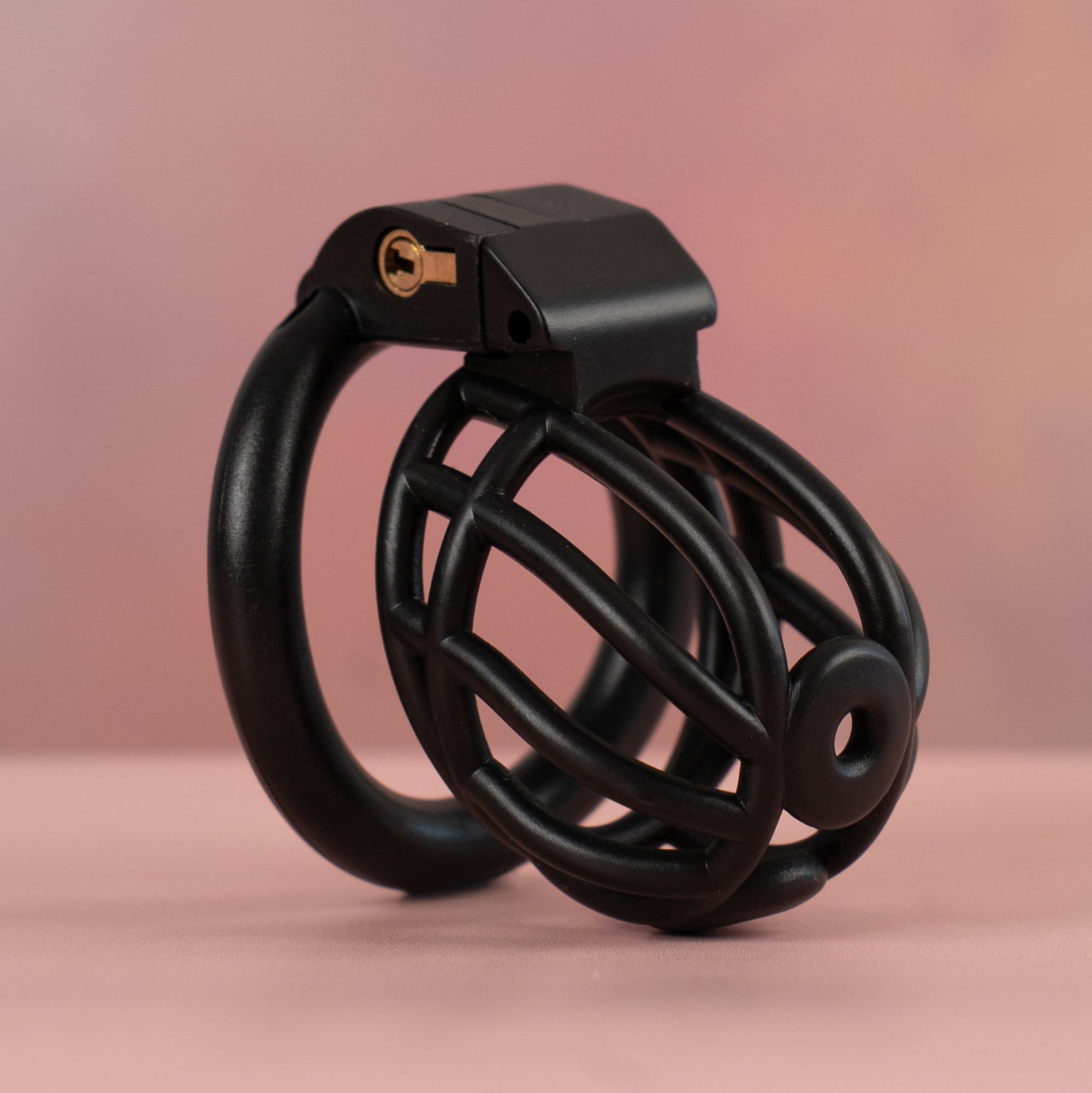 The Cobra Prince Albert Chastity Cage