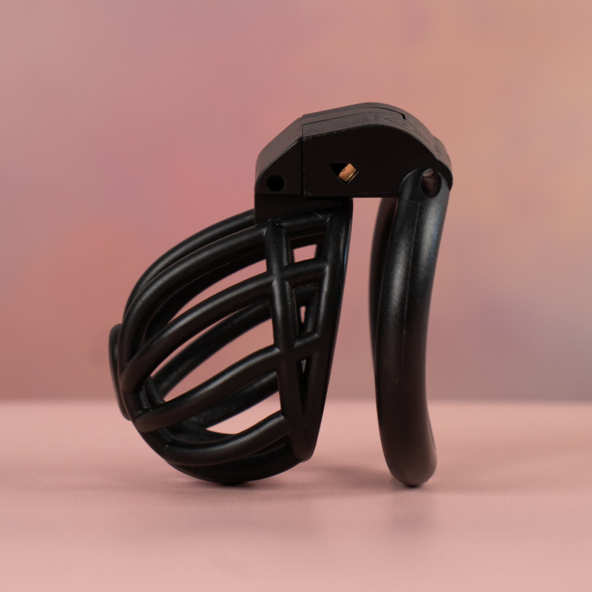 The Cobra Prince Albert Chastity Cage