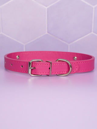 A rear view of the hot pink collar, the silver buckle and D-ring can be clearly seen holding the adjustable collar.