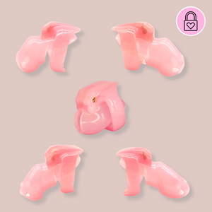 Shown are the four different sizes of cage that we offer in our version of the Holy Trainer range. They are shown in size order, nub, nano, small, standard and maxi. These products are the pink version, these cages also come in black and clear.