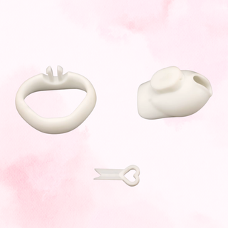 Showing the three elements that will make up the chastity cage, the cage, one of the four base rings and a key.