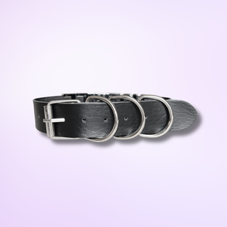 the buckle closure on the collar, it offers an adjustable length and 3 D-Rings to hold the strap securely