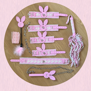 An image of the complete BDSM kit.