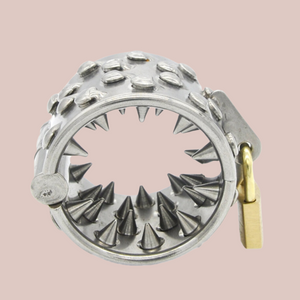 Shown is the thick ring of stainless steel that makes up the Kali's teeth cock cage, the inside of the ring is studded with sharp pointed teeth and there is an external padlock to lock the ring into place.