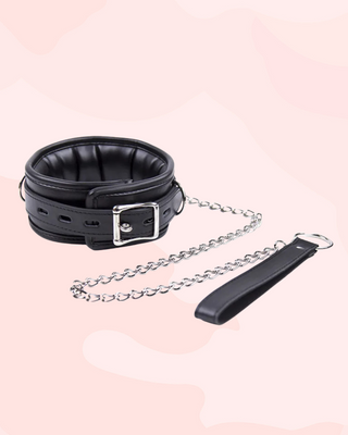 Showing the collar with padded interior, lockable adjustable strap and lead.