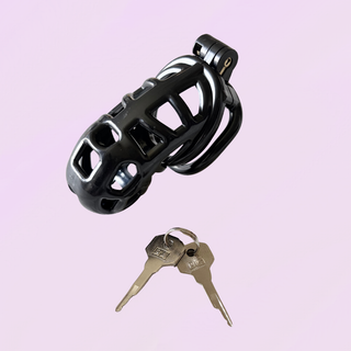 The cage is shown with its integral lock fitted and the two keys that are provided are shown with the cage.