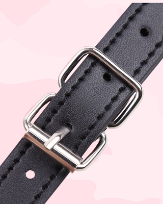 A close up of the strap and buckle.