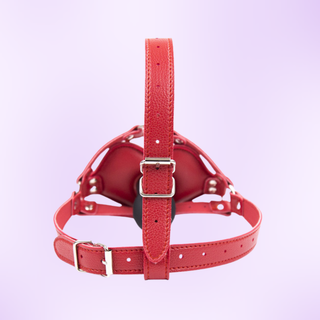 The rear view of he  Head Gag, you can see the two buckles.
