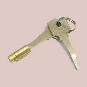 This image shows two keys and an integral padlock.