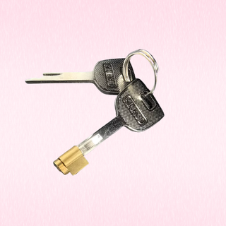 Two metal keys with a brass lock cylinder, attached to a silver split ring, shown on a light pink background.