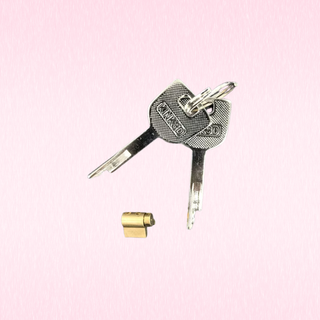 A silver metal key with a textured head and a small brass lock cylinder, shown on a light pink background.