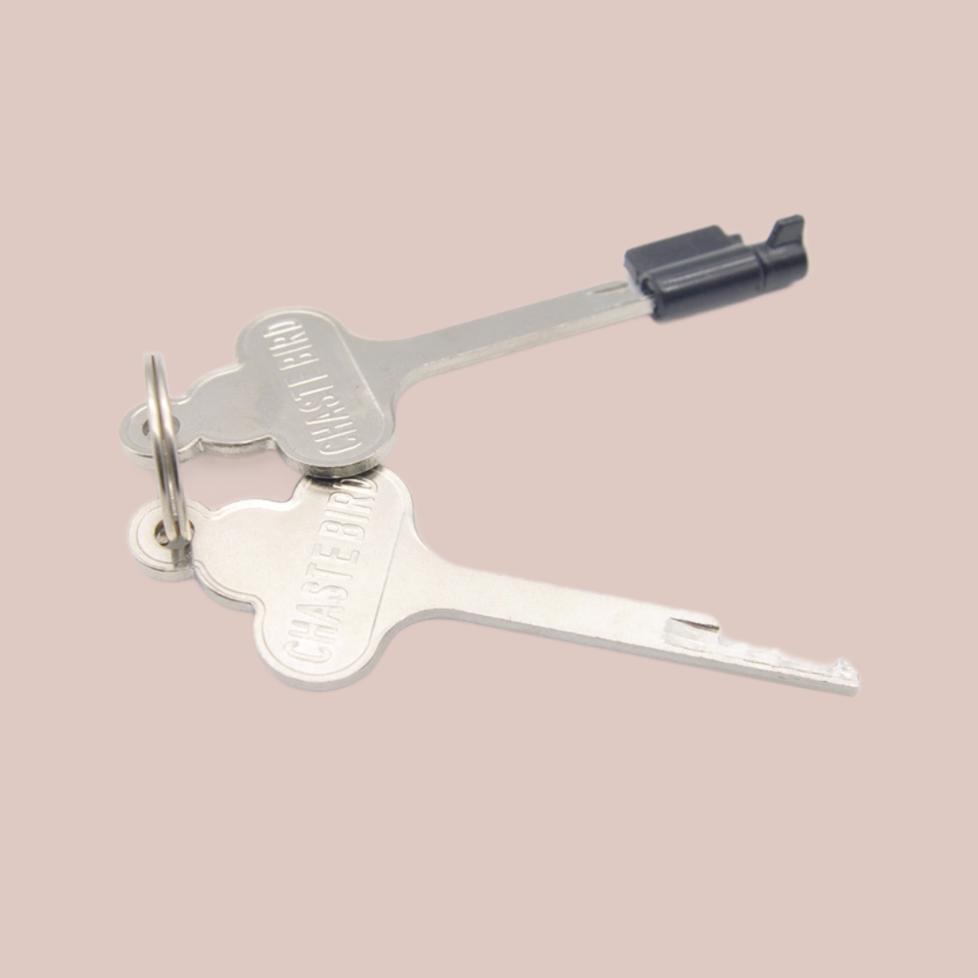 A close up of the two keys and plastic integral lock shown sitting in one key.