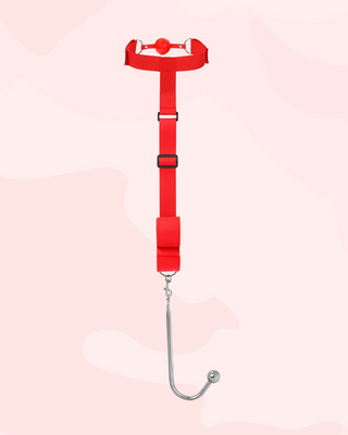 The red harness and ball gag with anal hook attached.