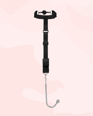 The black harness and ball gag with anal hook attached.