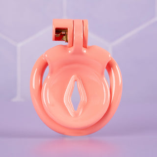 A face on view of the fully assembled chastity cage, the labia shaped opening allows for urination and air flow.