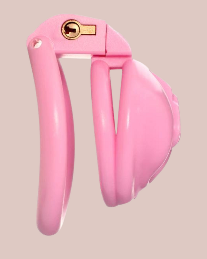 Pussy Cages House of Chastity