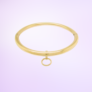 The Sub Rosa Locking Necklace is shown on a purple background, it is shown with the drop ring attached.