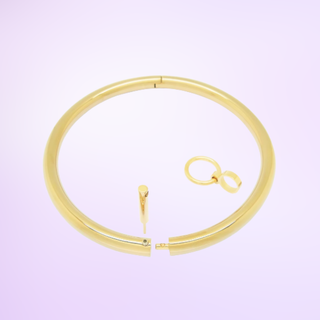 The Sub Rosa Locking Necklace is shown in gold, you can see all elements included with the necklace.