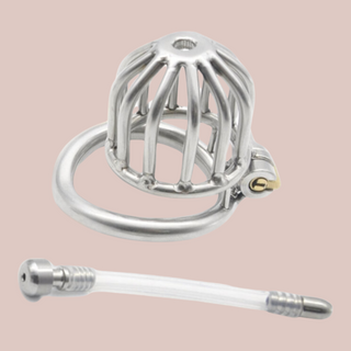 The Bird House Chastity Cage is shown with its base ring in place and the urethral tube removed and sat to the side.