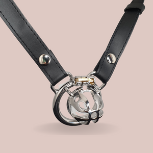 An image of the The Celestriax chastity cage, this cage is designed with an FRRK base ring.