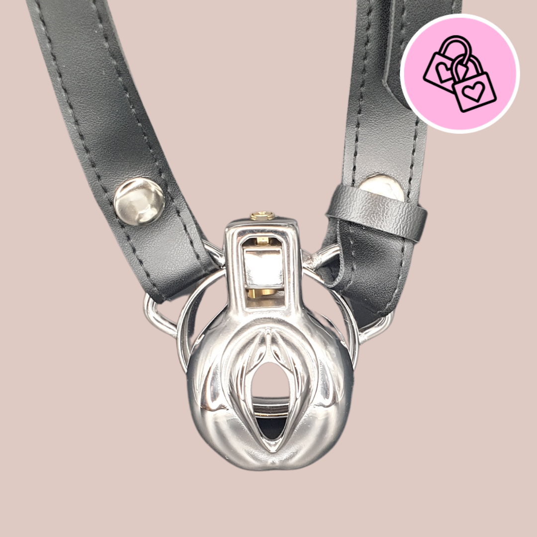 the-pussy-steel-chastity-cage-house-of-chastity