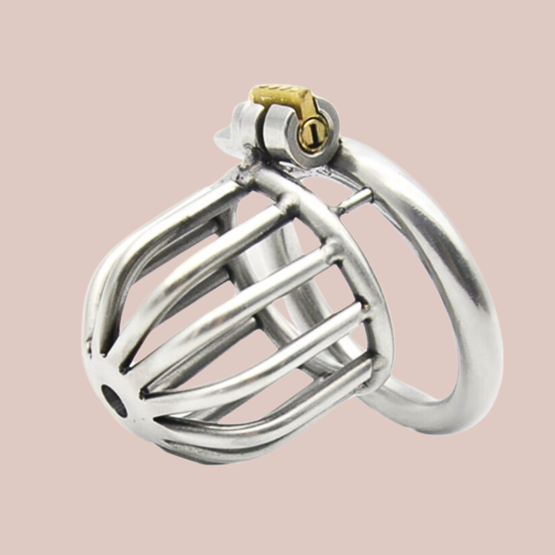 The Bird House Metal Chastity Cage shown from a side profile with the base ring and integral lock in place.