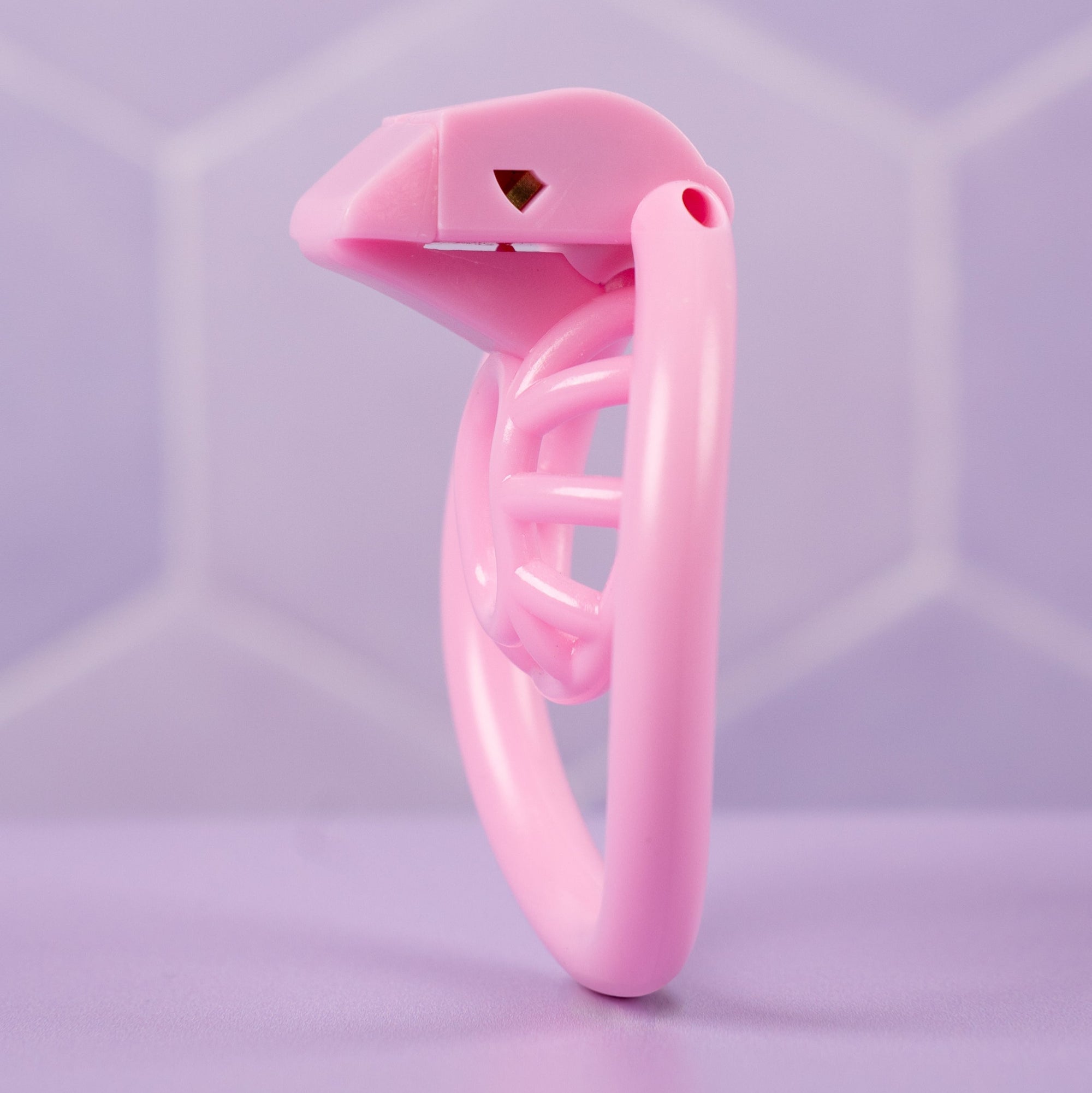 The Cobra Micro (Innie) Chastity Cage Kit