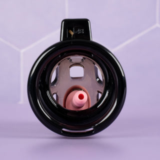 A rear view of the chastity cage, you can see the urethral tube will run through the cage and into the penis.