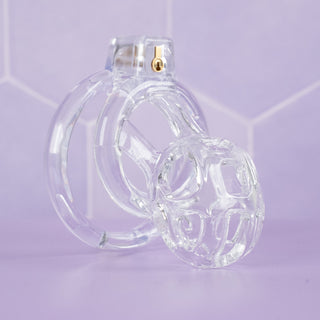 an angled view of the fully assembled chastity cage.