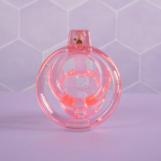 A rear view of the chastity cage through the base ring and into the chastity cage.