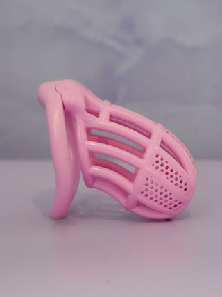 A side view of the Detained V2 the length of the standard size cage can be seen.