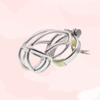 The cage is shown here fully assembled with the padlock in place and both keys showing