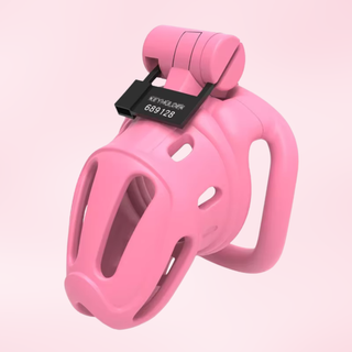 The Kidding Zone 3D shown fully assembled with a numbered tag lock