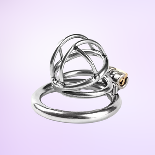 The Lock Up small chastity sitting on its base ring in front of a purple background