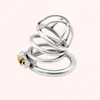 The Lock Up Standard size chastity cage sitting on its base ring on a soft pink background