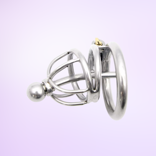 A small sized metal chastity cage with a chaste bird head, one spacer ring that fits to the base ring and allows the integral lock to be fixed. This can has a removal metal urethral tube.