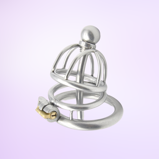 A small sized metal chastity cage with a chaste bird head, one spacer ring that fits to the base ring and allows the integral lock to be fixed. This can has a removal metal urethral tube.