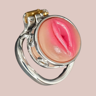 A front view of the Pussy Ring chastity cage from House Of Chastity, you can see that the cage is fully assembled, with the pussy locked in place.